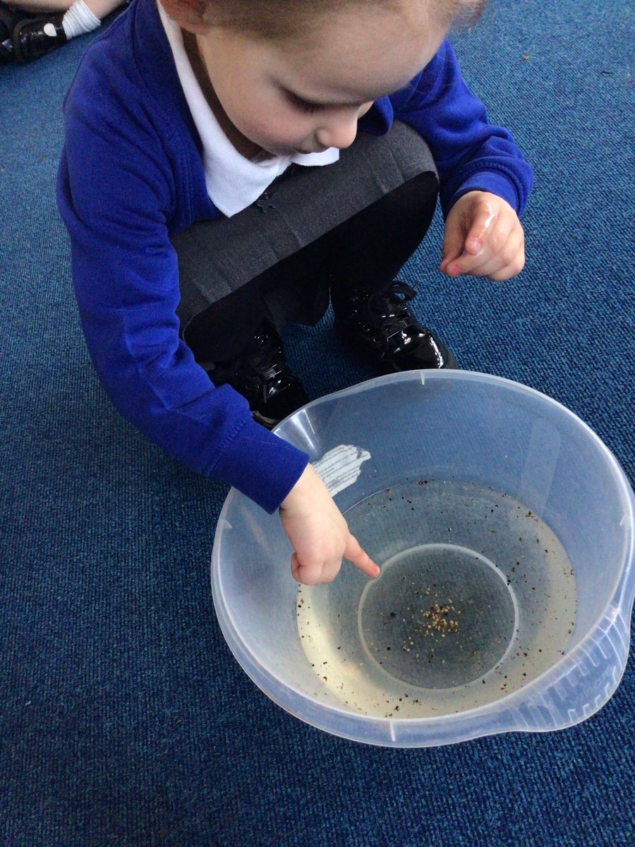 RecepWoodley's tweet photo. Today we did an experiment about keeping clean. 

We put some germs (pepper) into water and put our finger in to see what happens and the germs stuck to us! 
We then put some soap onto our hands to clean them and the germs moved away! 

ASK ME what else I can do to keep clean. https://t.co/TMJabVNXLZ