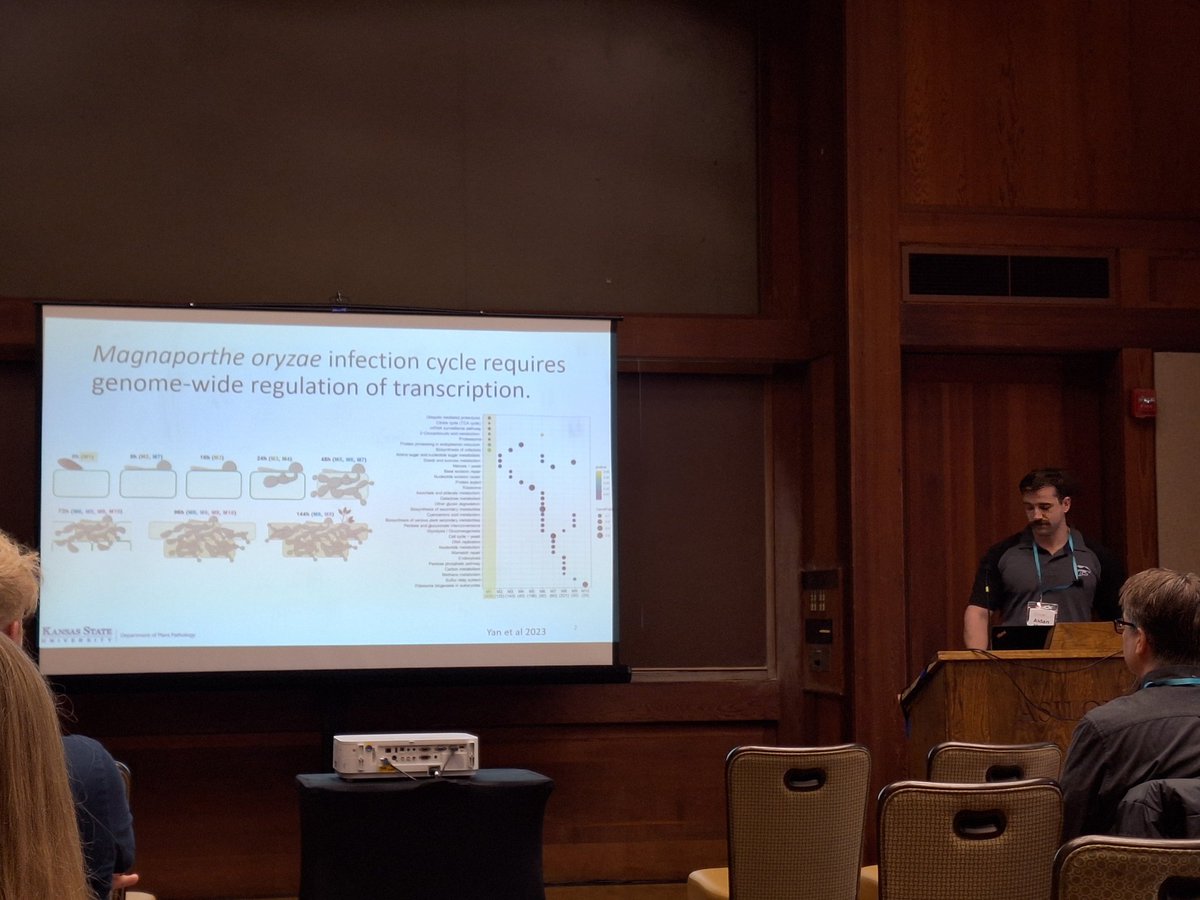 Thorsten Langner (@thorstenlangner) on Twitter photo Ayden McVey from <a href="/1DEcook/">David E Cook</a> lab kicking off #Magnafest #Fungal24 talking about epigenetic regulation during blast fungus infection. Ayden McVey from <a href="/1DEcook/">David E Cook</a> lab kicking off #Magnafest #Fungal24 talking about epigenetic regulation during blast fungus infection.