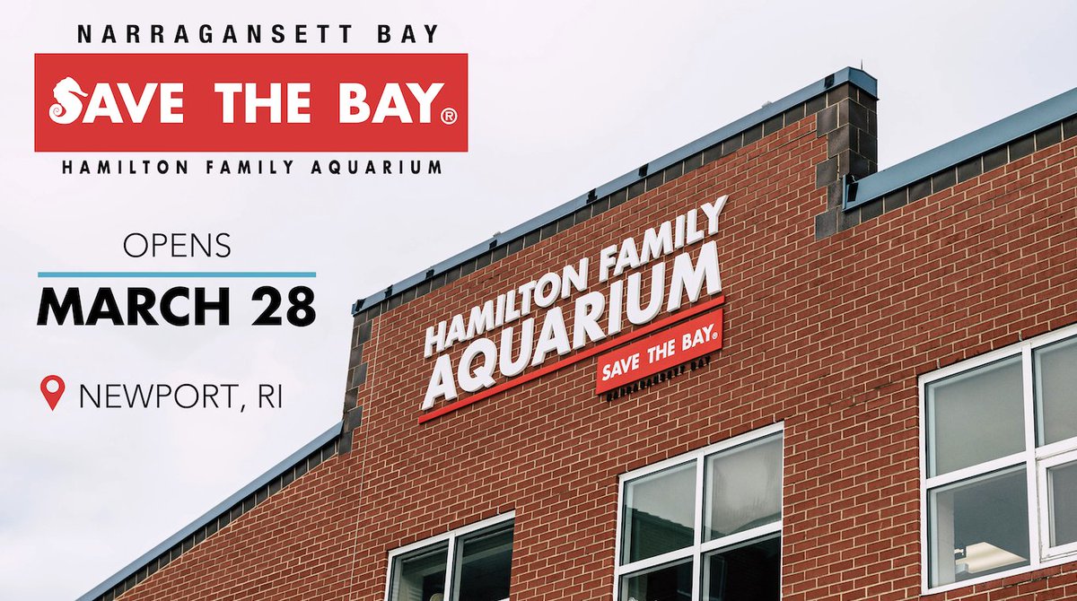 SaveTheBayRI's tweet photo. Save The Bay's new Hamilton Family Aquarium opens March 28!

Location: 23 America's Cup Ave, Newport, R.I. 
Hours: 10 a.m. - 4 p.m., Thursday - Monday
Tickets: https://t.co/C746lSPy68

#savethebayri #narragansettbay #newportRI https://t.co/R0puxPiNiP