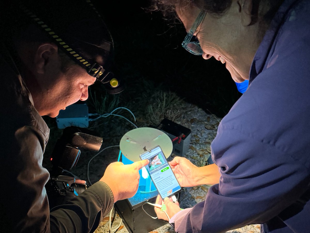 The 2024 @UF DeLuca BioBlitz teemed with life, both in the bustling energy of its 43 participants and the diverse array of species documented. With 3,149 observations — DOUBLE the number from previous years — the natural world was documented in the course of 664 species!