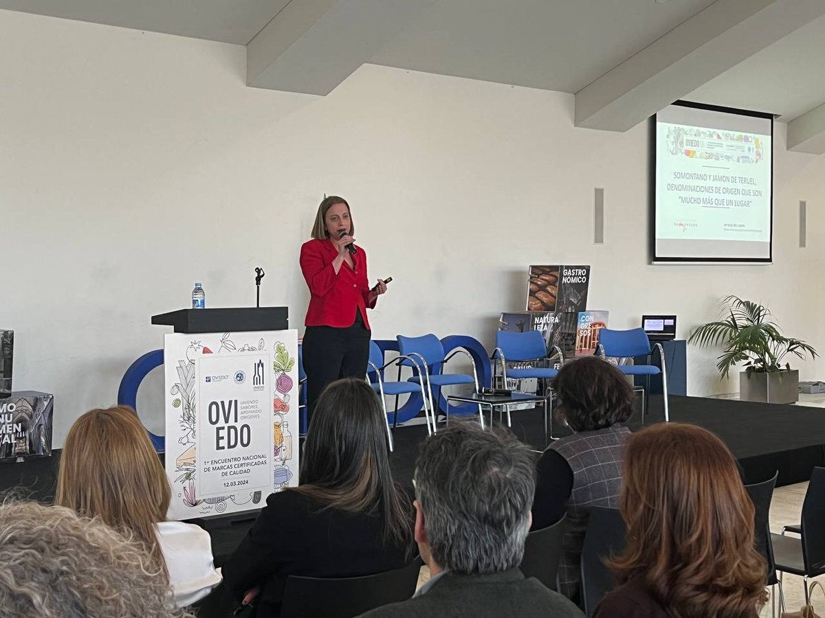 María Elisa Río, Dircom <a href="/DOSomontano/">DO Somontano</a>: "Nuestro mercado es el nacional y pedimos un proyecto simple, porque queríamos seguir siendo muy fuertes en España. Cofinanciaban el 70% del proyecto y nos aliamos con el <a href="/JamondeTeruelDO/">Jamón de Teruel D.O.P. - Cerdo de Teruel I.G.P.</a>. ¡Pusimos en valor nuestras particularidades!"