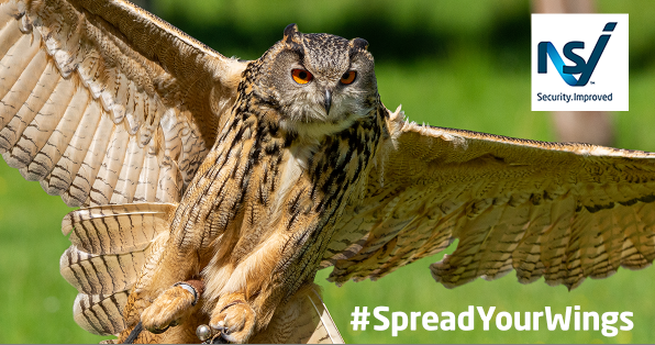 NSI_Approved's tweet image. Get ready to meet NSI’s beloved Turkmenian Eagle Owl, 'Cash', @SecurityEventUK on Tues 30 Apr &amp;amp; Wed 1 May

Fly over to our stand 5/F140 to snap a pic with Cash, then share and tag us with #SpreadYourWings to claim your free gift! 🦉

Register now: tinyurl.com/4k7rv4vz