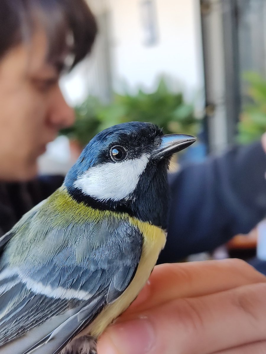 🌿 Starting on our fieldwork season! Not just birds here! At #LabMarzal, self-care is a priority 😉 #ResearchLife #Fieldwork #Science #birdphotography