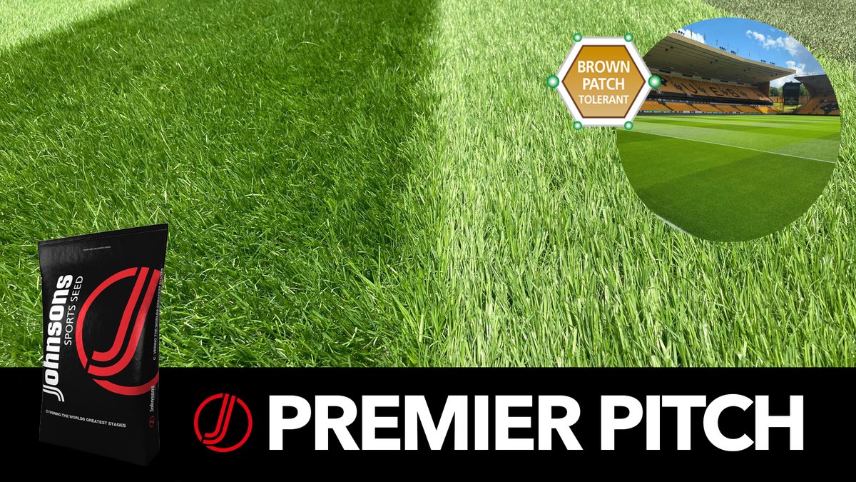 With close season periods seemingly getting smaller each year along with ever increasing environmental stresses through grow-in, it is important to choose a fast establishing, end of season renovation mixture such as J Premier Pitch ⚽️🌱 J Premier Pitch: johnsonssportsseed.co.uk/mixtures/johns…