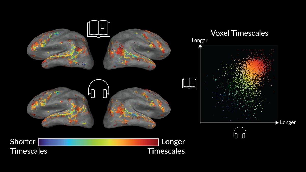 Do brain representations of language depend on whether the inputs are pixels or sounds? Our @CommsBio paper studies this question from the perspective of language timescales. We find that representations are highly similar between modalities! rdcu.be/dACh5 1/8