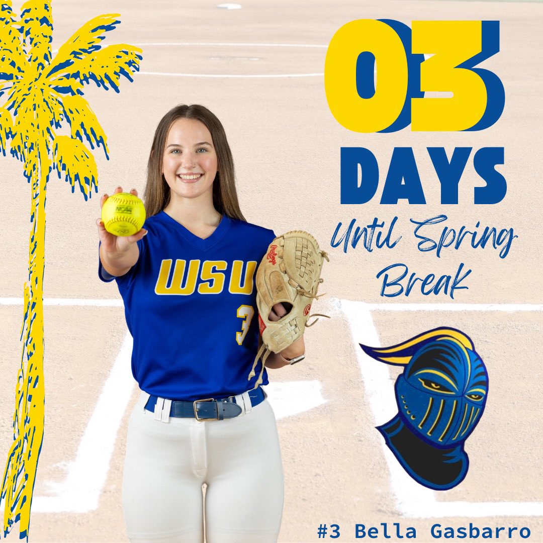 0️⃣3️⃣ days until 📍Florida ☀️🥎🏝️