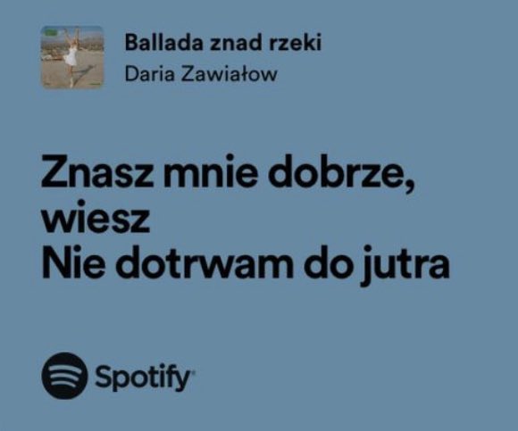 polish lyrics you might relate to tweet media