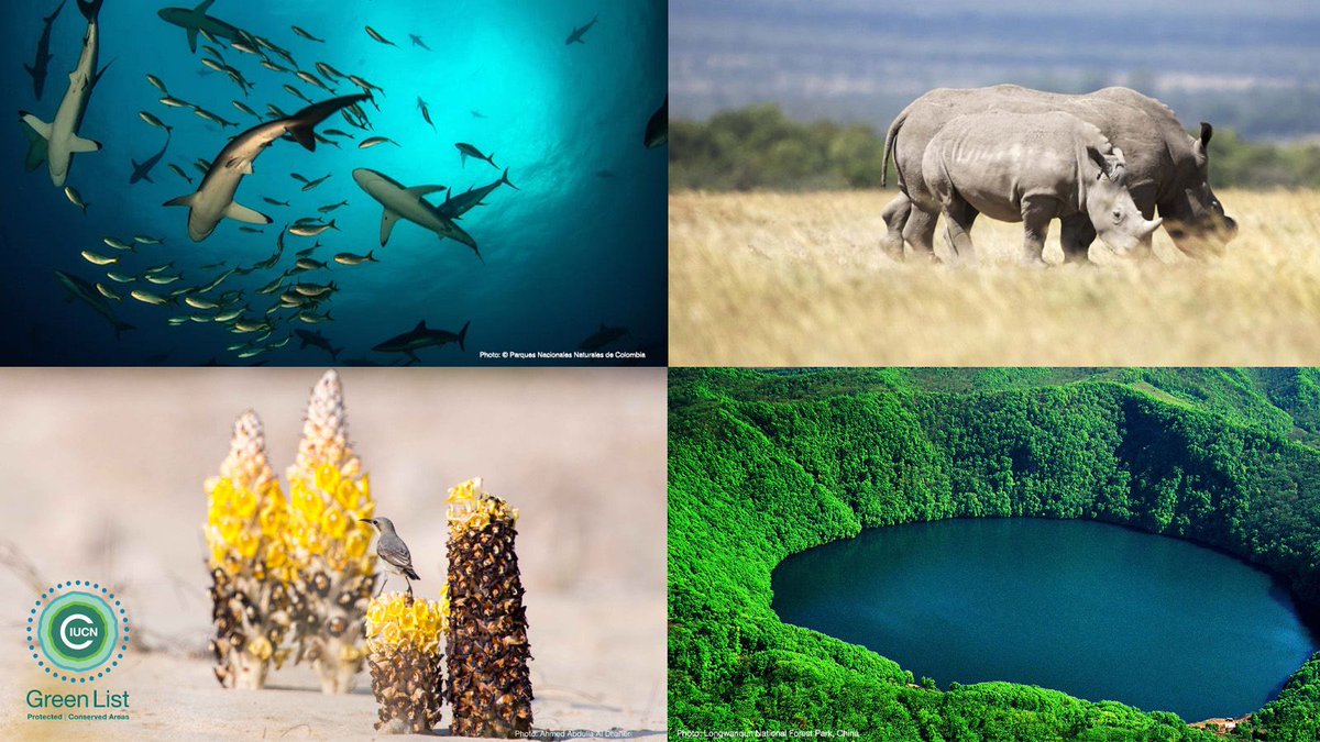 IUCN tweet media