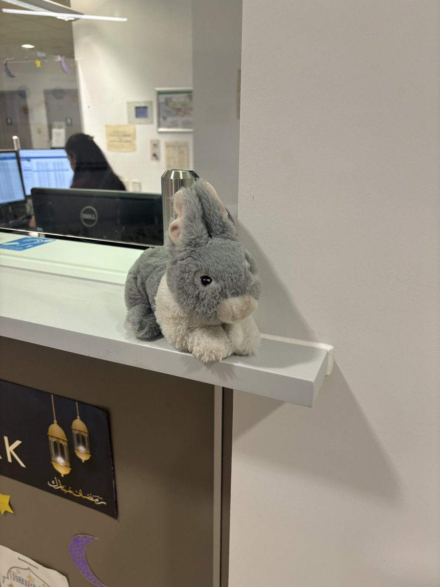 Looking for my owner! We promise to keep him safe and give lots of carrots if you know my owner let us know @RoyalLondonHosp <a href="/DentalRlh/">RLHDental</a>