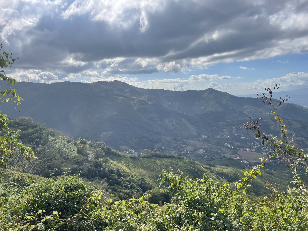 WPIBiology's tweet image. BBT undergrad Liv Santurri just returned from her IQP Project in San Jose, Costa Rica, where she worked with an NGO called FUNDECOR, on creating reforestation profiles for small landowners to start a new financial aid program. #biotechnology #reforestation #fundecor #wpi