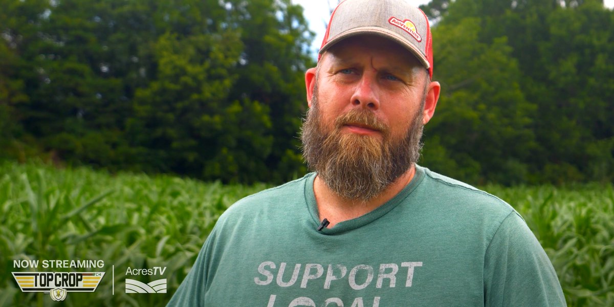 WatchAcresTV's tweet photo. Four farmers set out to become more profitable on their farms. 

#TopCrop is streaming free on AcresTV!

https://t.co/X4prxqxV1L https://t.co/OwkcVizhLm