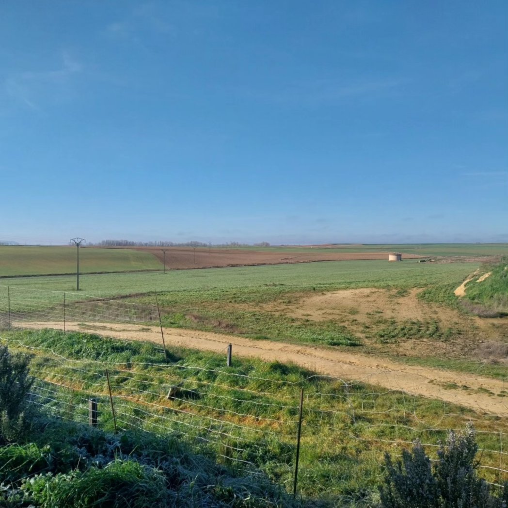 Mercede34417335's tweet photo. En Amayuelas de Abajo (Palencia) un pueblo ecostenible: banco de semillas, casas ecológicas de tierra, huerta, ....para aprender y trabajar sobre #mediorural #patrimonio #DesarrolloSostenible #EspañaVaciada con 3° Grado Infantil de @feyts_uva #DCSUVA #EstrategiasCCSS #InfantilVA https://t.co/fBTmdqKHQi