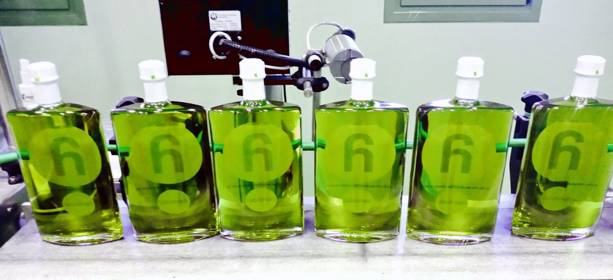 Speironcompany's tweet photo. 🚀Meticulously inspected🎗 bottle after bottle ⭐️
λ /lambda/. The first luxury olive oil in the world👬
Live your own λ /lambda/ experience 👉 https://t.co/0WxUk6WUOz

#lambdaoliveoil #thefirstluxuryoliveoil #lambdagiftbox #bespokelambda #speiron #speironcompany #luxury https://t.co/og03feSVHG