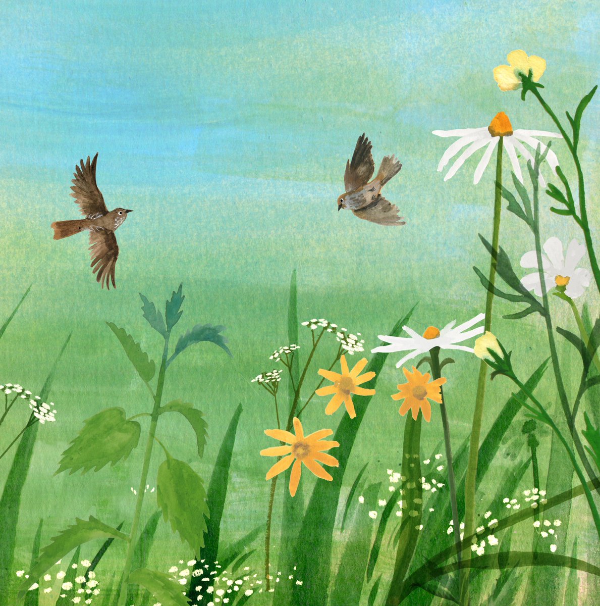 Crop from the book I'm working on at the mo 🕊️🌸 #kidlitart #childrensbooks #illustration