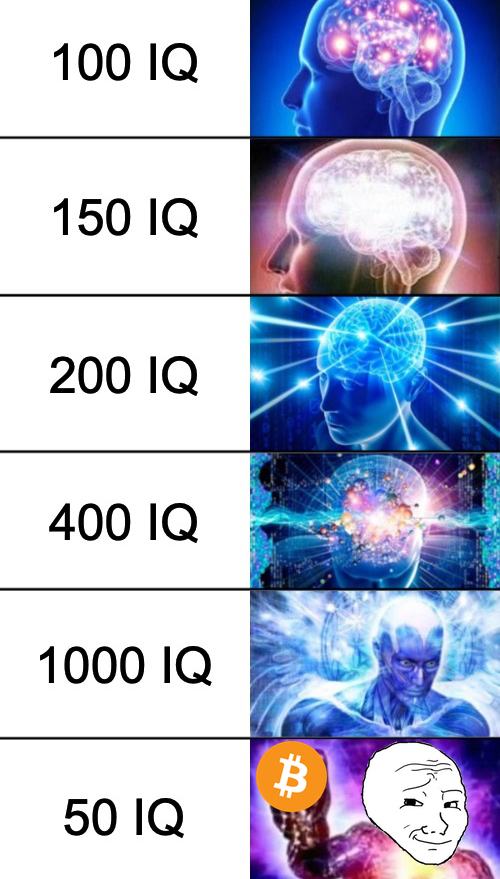 IQ50 - CTO tweet media