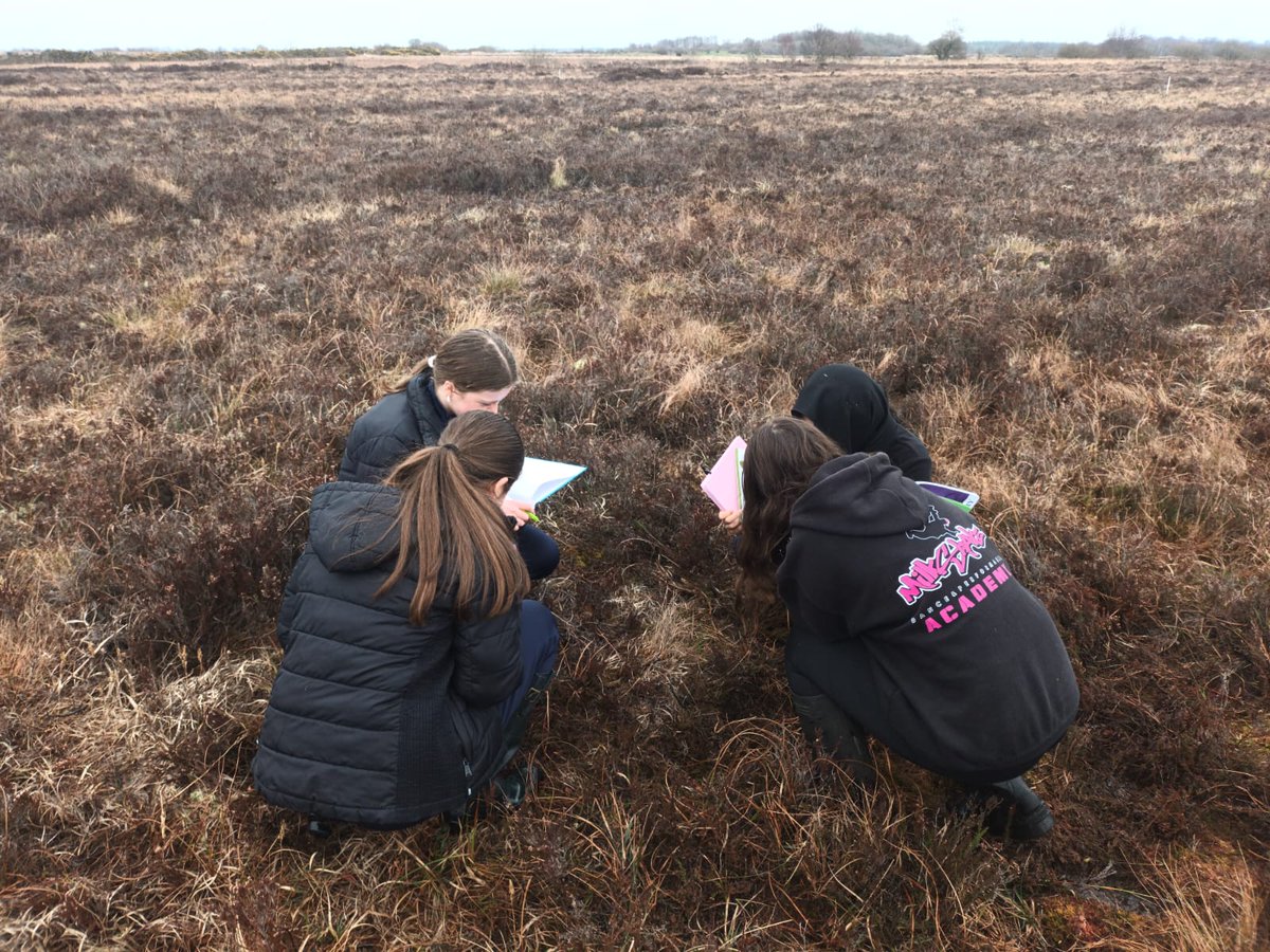 Yesterday, two groups of brilliant 1st Years from @ArdscoilMhuire joined us at @BallydanganBog. Pat Feehily explained how they are conserving the Red Grouse on the bog, and then the FarmPEAT team invited the students to investigate bog plants plus test out our peatland scorecard.