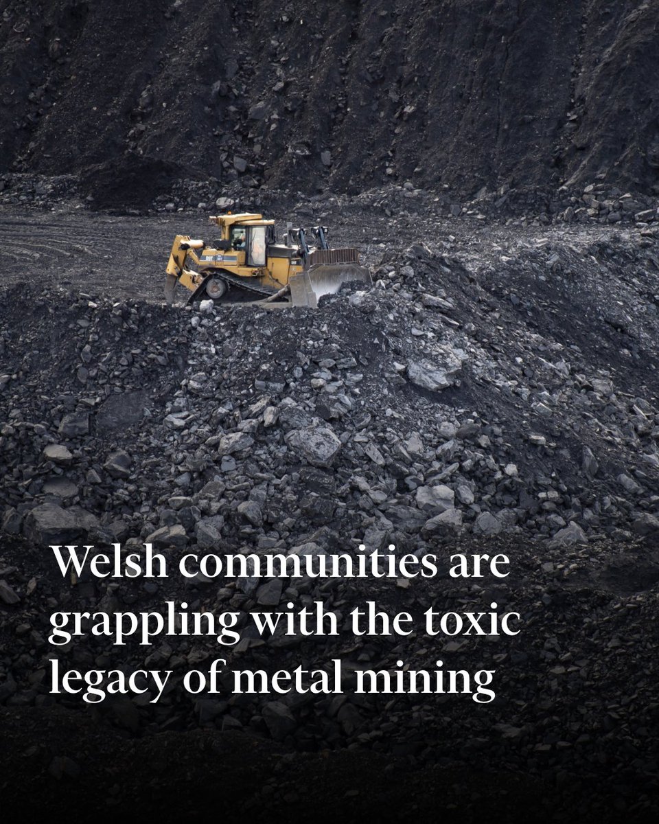 Financial Times (@ft) on Twitter photo Evidence of chicken and other livestock contaminated with lead well above the threshold for 'acute toxicity' has triggered calls for urgent regulation of mines in Wales ft.com/content/83329c… Evidence of chicken and other livestock contaminated with lead well above the threshold for 'acute toxicity' has triggered calls for urgent regulation of mines in Wales ft.com/content/83329c…