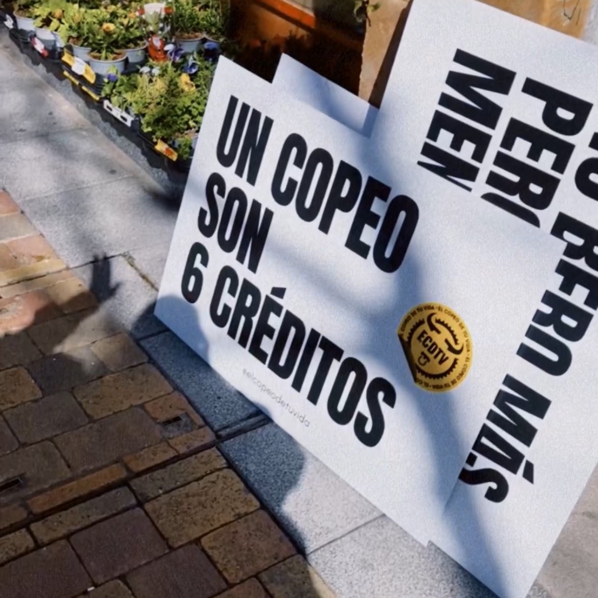 En contabilidad no se pero en el copeo voy a sacar matrícula