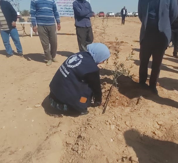 With Min of Agri &Dir of Forests and Combating Desertification @WFP_Iraq is planting 200 dunums in the green oasis to rehabilitate the desert and create a green belt in Anbar.Trees act as buffers against outgoing dust storms and reduce their effects on cities&agricultural lands🌲