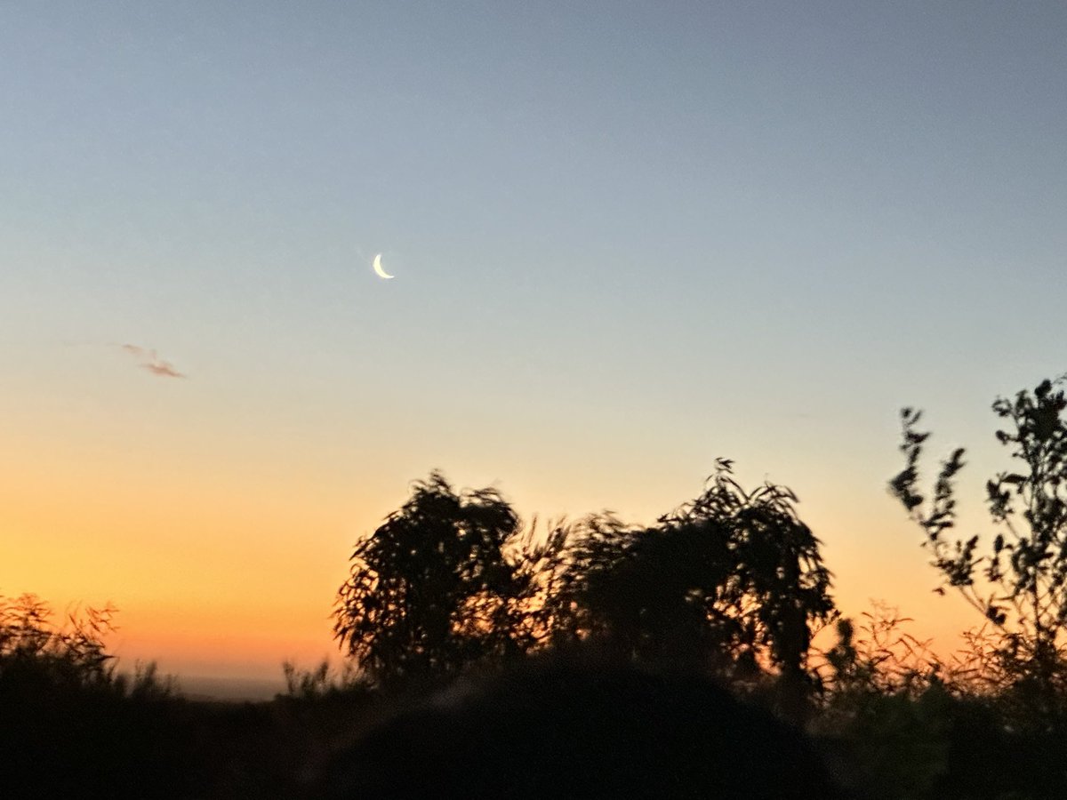 ayu511justin's tweet image. #moon
#sunset
#Pinnacles
#Australia