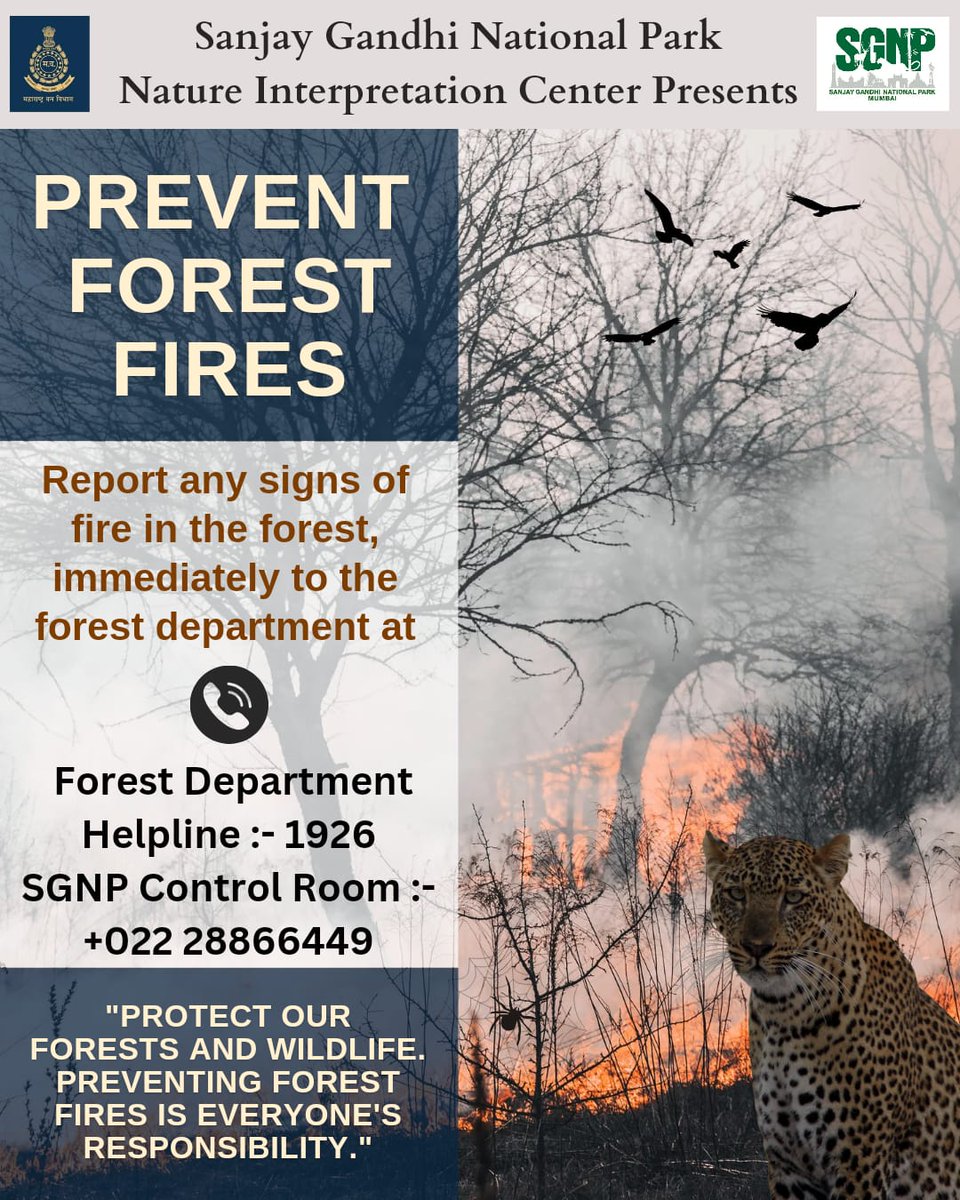 To prevent forest fires,its crucial to act swiftly. If you notice any signs of a forest fire,pls report immediately to forest dept.Your prompt action can help prevent spread of wildfires n protect our precious forests and wildlife. FD Helpline:1926. SGNP Control Room:022 28866449