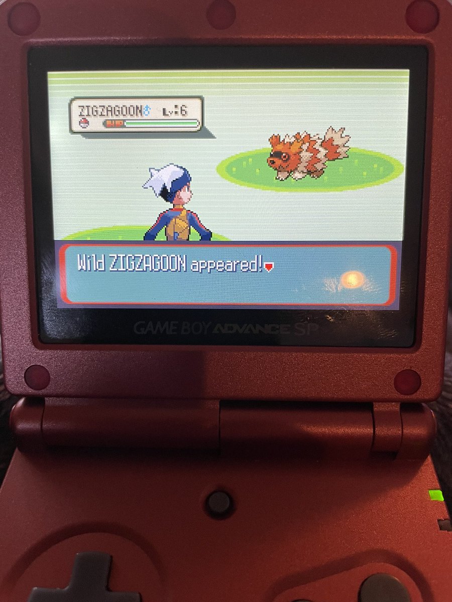 SH_Lucius95's tweet photo. Got a Zigzagoon for phase 3 on the Nincada hunt after 506 RE’s. #ShinyPokemon #Pokemon https://t.co/57Fvj5yUna