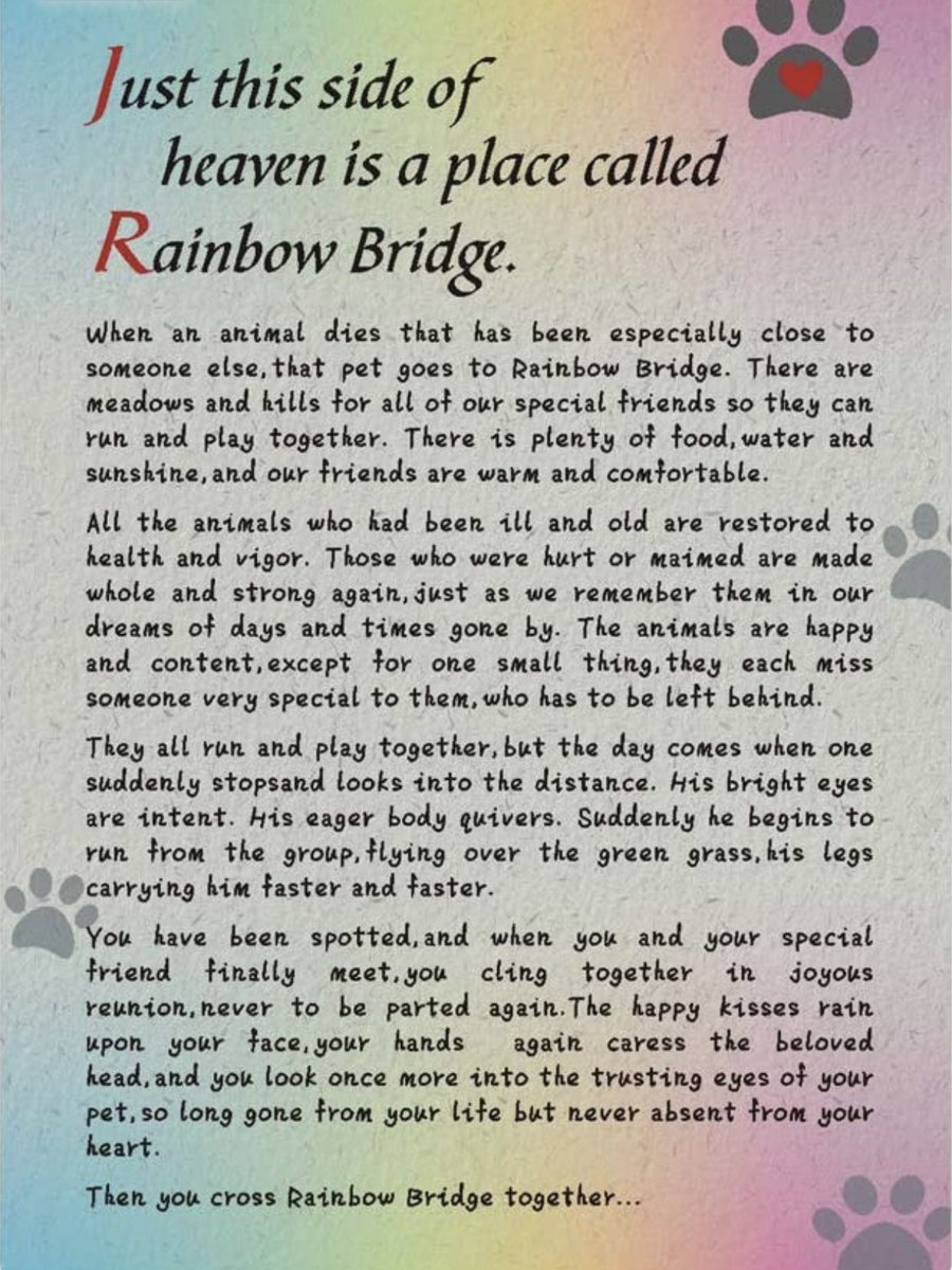 <a href="/nicholeturhan1/">Lucky the Chihuahua</a>