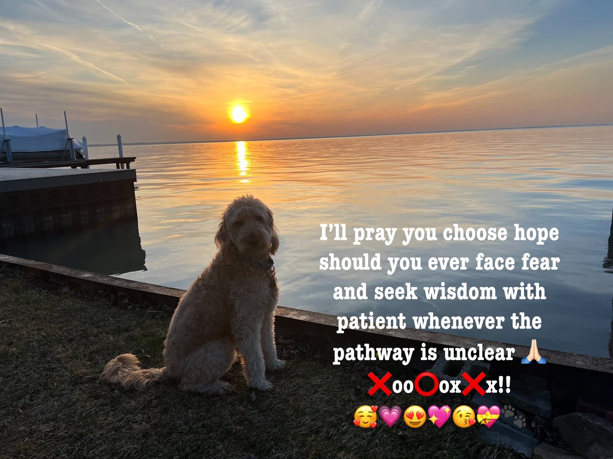 I’ll pray you choose hope should you ever face fear and seek wisdom with patient whenever the pathway is unclear 🙏🏻 ❌oo⭕️ox❌x!! 🥰💗😍💖😘💝🐾