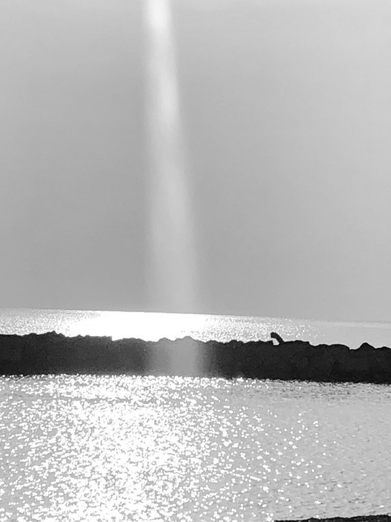 zeLaure_'s tweet image. L e #Chemin #Arc en #Ciel 
E cho d’Une #Lumière #Intérieure 

S ur La #NoteClé #Être 
A larme #Naturelle en ✨Notre #Âme 
U ne #Intuition #Fugace #Libératrice 
V elours de Notre #Écho #Intérieur 
E n #Conscience 
U ne #Onde #Cosmique #Vibratoire 
R ayonnante de #Vie 

C’EST NOUS
