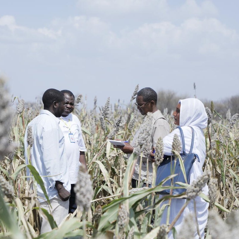 The African Evaluation Association's upcoming conference sparks a crucial debate: is the rise of technology in evaluation practice the "last nail in the coffin" for participatory approaches?

➡️ bit.ly/3IxrPLJ