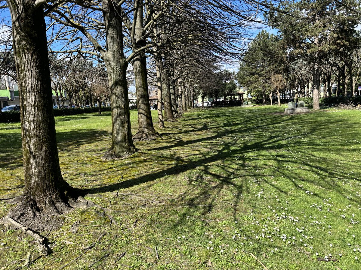 CantoneIrene's tweet image. #LeadershipLesson of the day: ants can do a world trip … on a model globe! Happy lunch break!