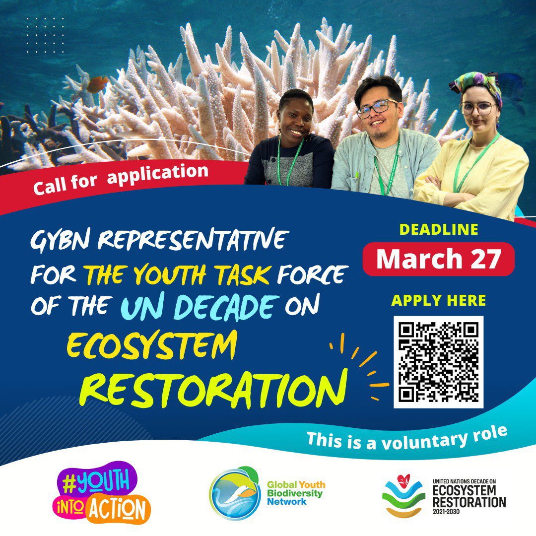 🍀Calling all eco-warriors 🌍 Apply now to represent GYBN on the UN Decade Youth Task Force and make a difference! The application link : forms.gle/hYuj9CzCpdFrKs… #YouthIntoAction #Youth4biodiversity #generationrestoration🌿🌏