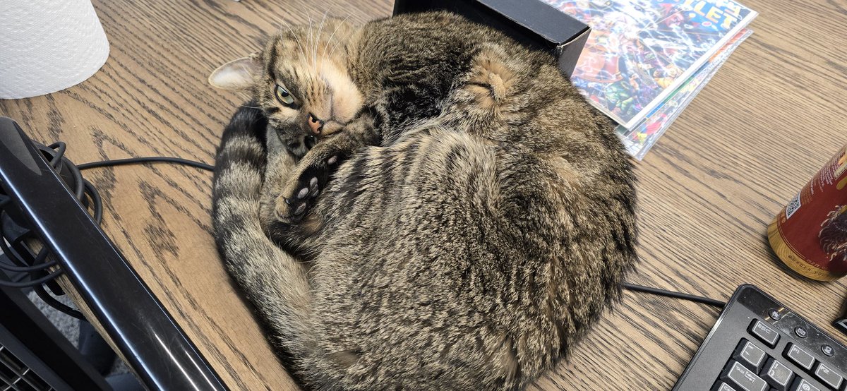 Timcast's tweet photo. Today is the last day for Mr. Bokus

Yesterday he entered total renal failure and quickly began deteriorating after that.

This X post will forever honor the legend of Mr. Bokus https://t.co/Aih85EL7y2