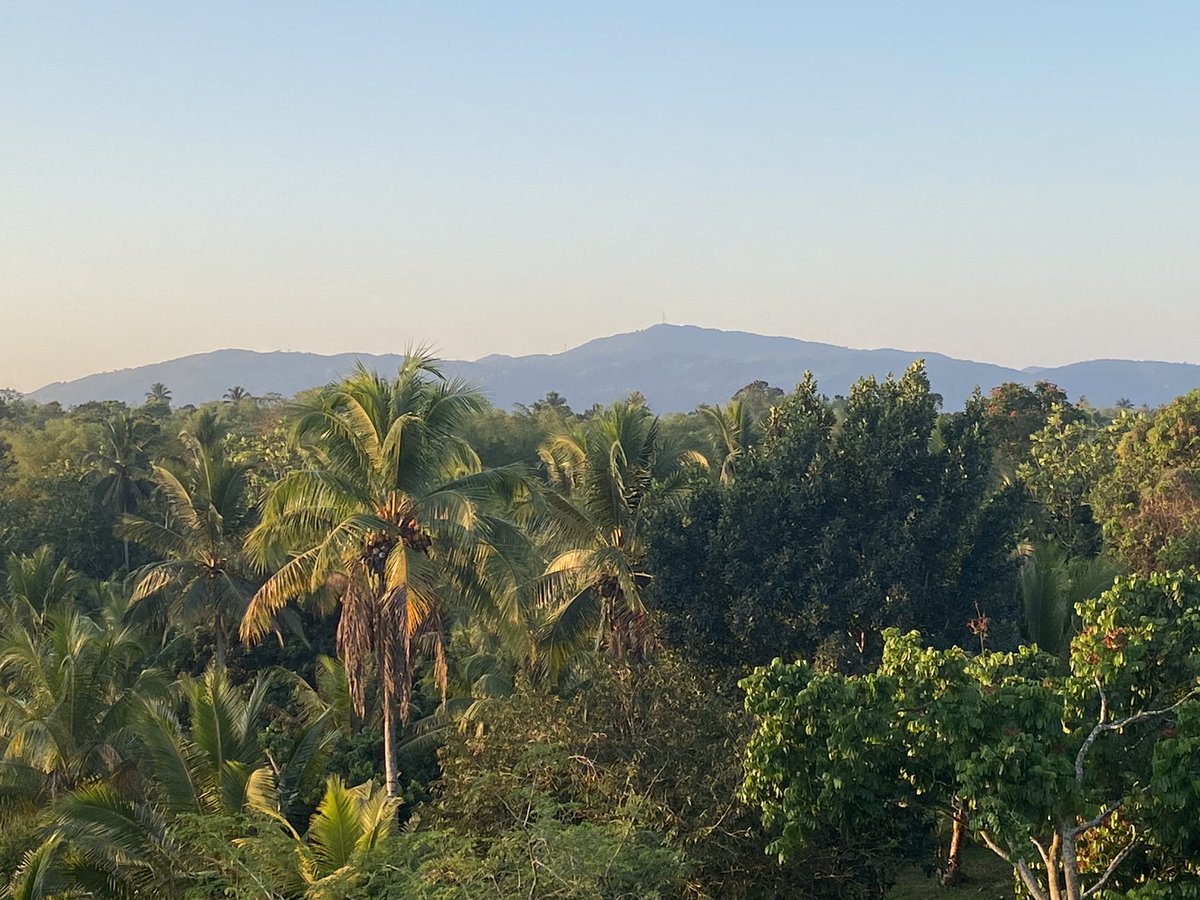 debhickG's tweet photo. Clear blue skies… that’s what I see… what I pray for… what I envisage…for another year.  Ase and amen. #gratefulforanotheryear https://t.co/RmV8hCfZDc