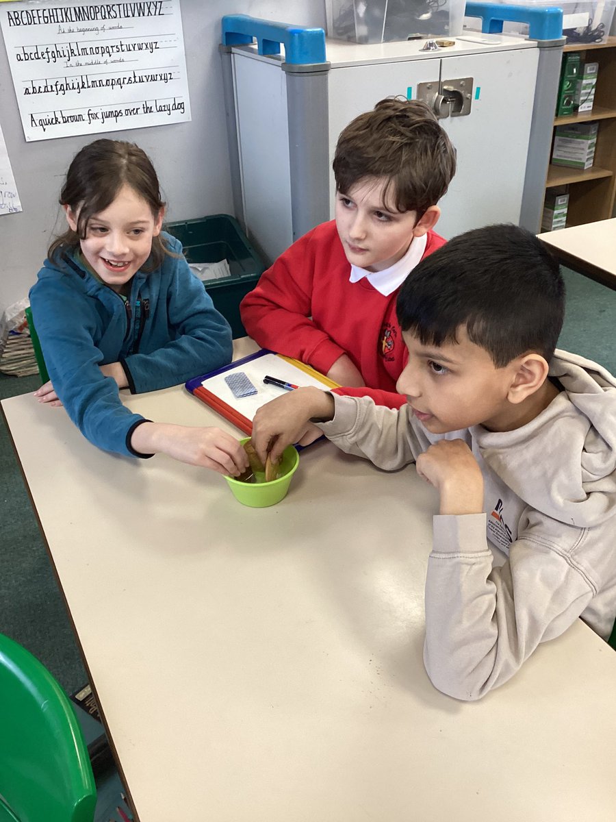 HorwichParishCE's tweet photo. 5H have been testing biscuits to see which are best for dunking. Surprisingly Rich Tea was the winner! #HPY5 #BritishScienceWeek2024 https://t.co/Eshuq7idsI