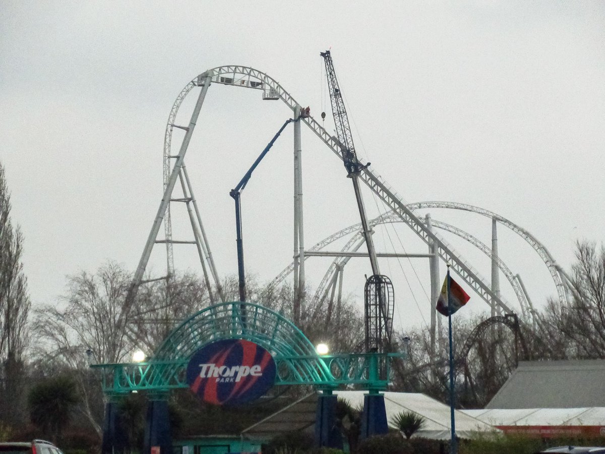 Hatty🎢 tweet media