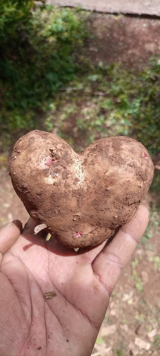 "Millions of smallholder farmers are unable to grow food because soil, water and forests are increasingly degraded.
If we let #ClimateChange win, we let hunger win."

<a href="/IFAD/">International Fund for Agricultural Development</a>