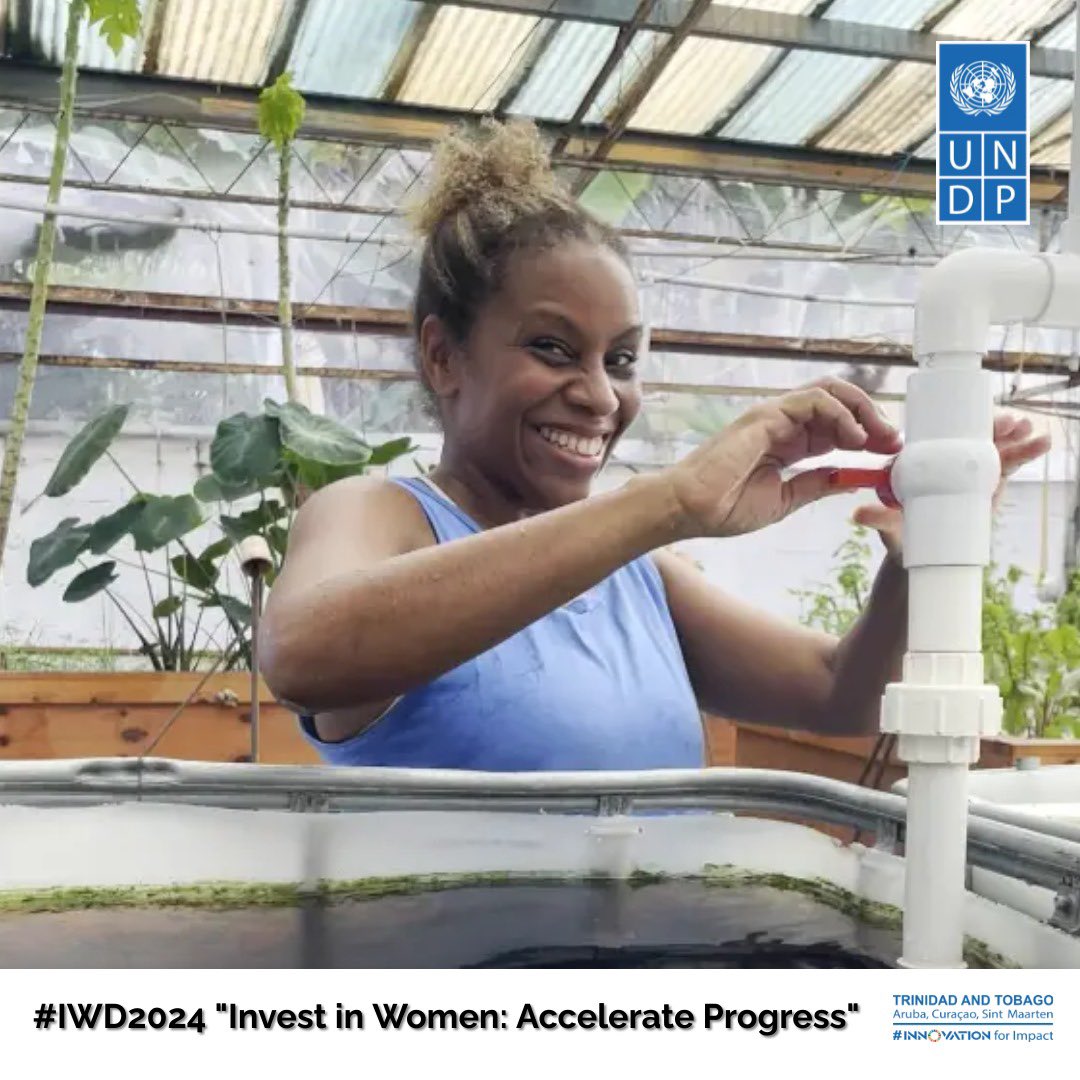 As we continue to celebrate #IWD2024, meet Gillian Dennis, a pioneering force in aquaponics farming! Gillian integrates solar-powered technology on her farm, exemplifying the fusion of tradition and innovation, a major part of our GCCA+ project. Read more: shorturl.at/fiZ14