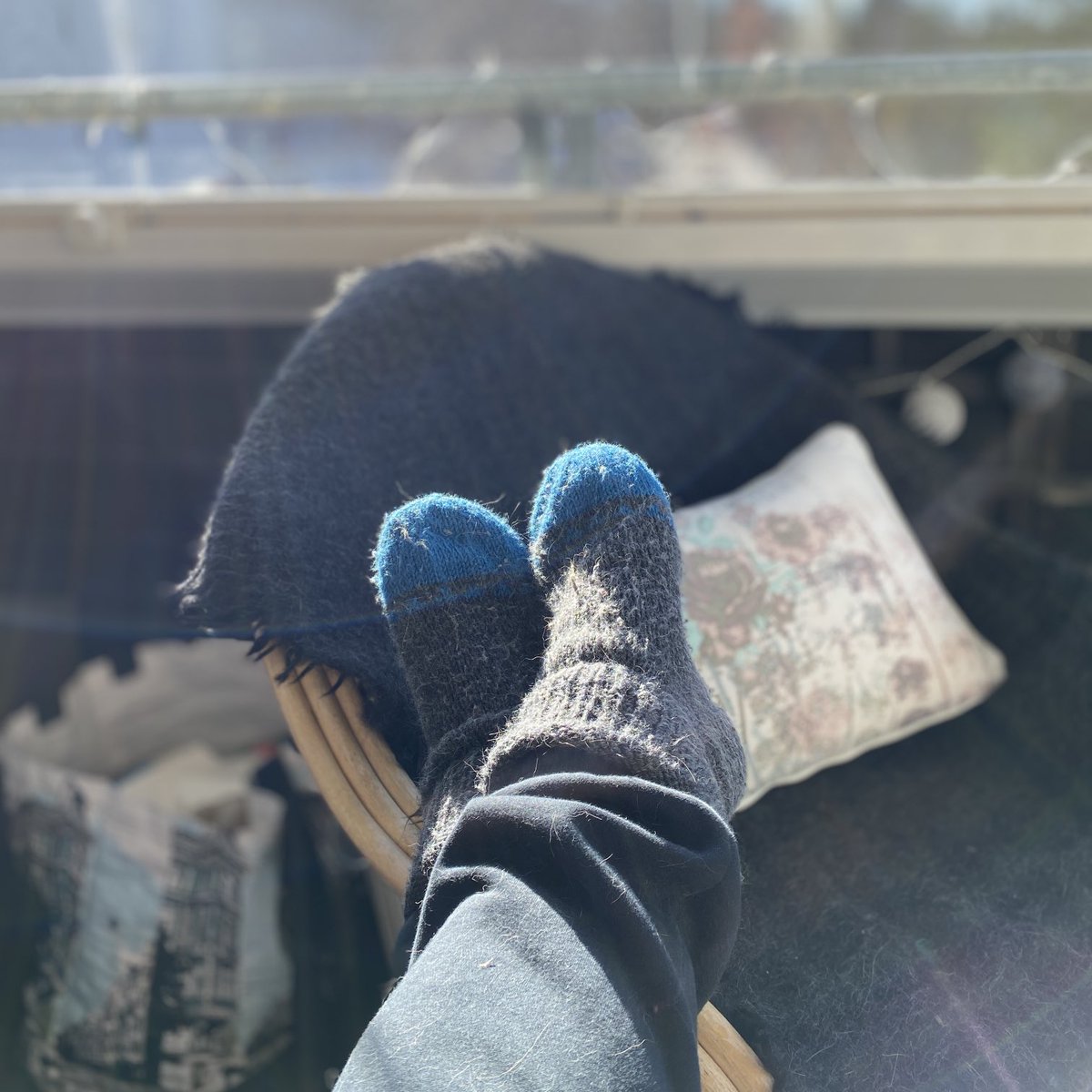 mattiselkala's tweet image. Kahvitauko parvekkeella #kevät 😻