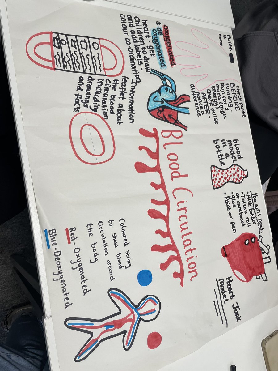 misslewis2022's tweet photo. Yesterday in @MrYTeacherGuy seminar we created multiple lesson ideas for our Rwandan school links teachers to teach blood circulation to their pupils! We can’t wait to see them being implemented 👩🏫📝#science #AOLE #crosscurricular https://t.co/7j6BtKoaCl