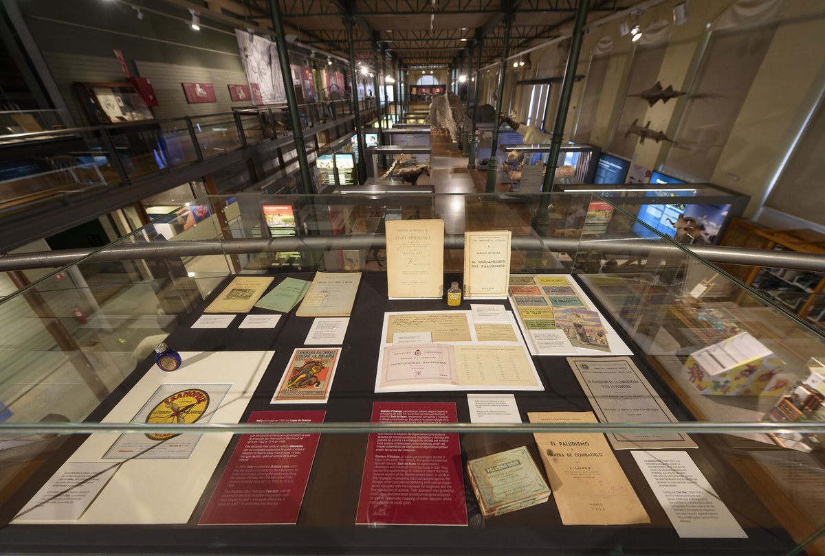 International Policy Group (iPg) tweet media