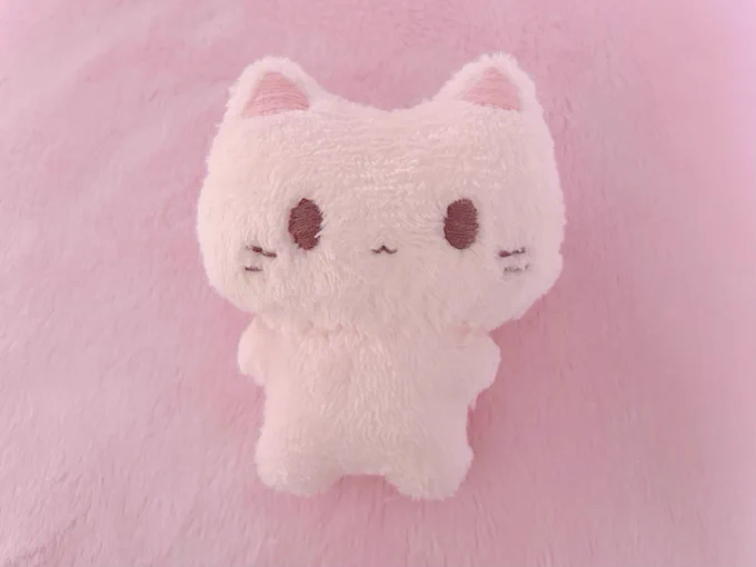 裁縫やってみたいな〜って思って、うちの子ぴんくちゃん概念のねこのぬいぐるみ作った 