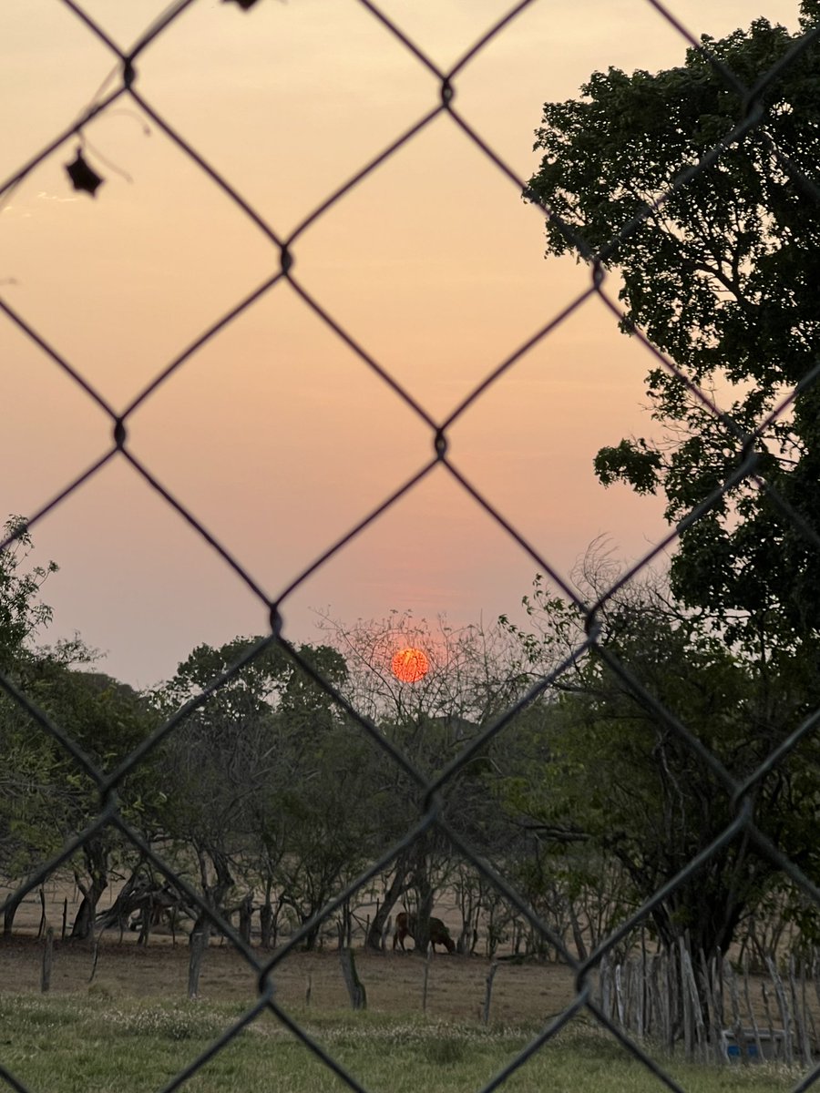 betzaida_rosas's tweet photo. El sol a las 6:32 am
🍊🔥
#MiVideo #MiFoto
#Martes https://t.co/8NIOKE7qtZ