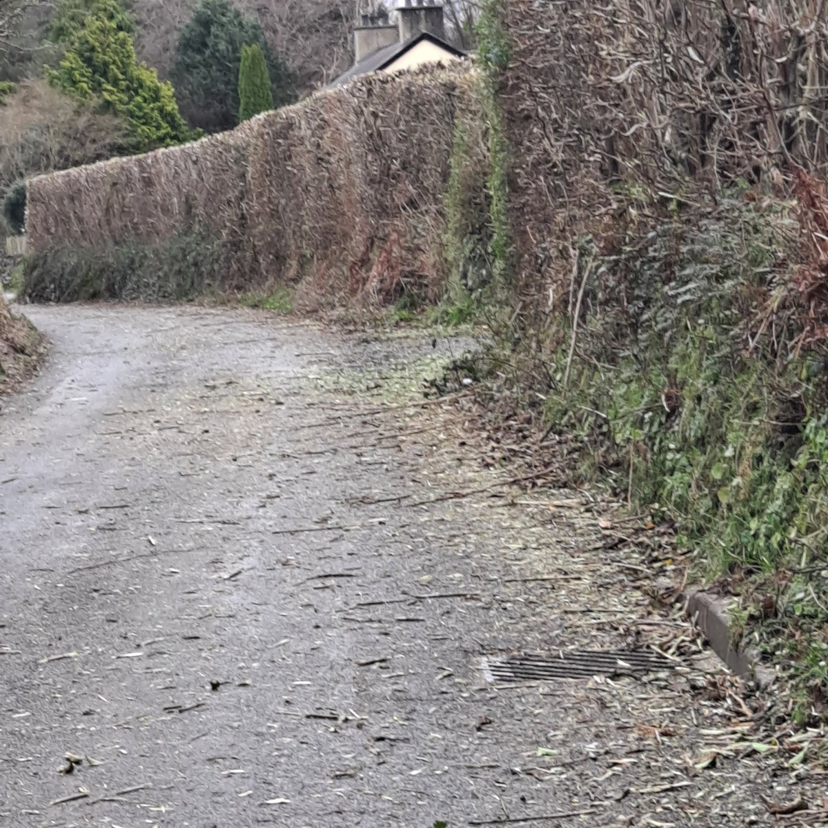 Francis Sheret (@brythonfa) on Twitter photo Pnawn da <a href="/CyngorGwynedd/">Cyngor Gwynedd</a> pwy sydd yn gyfrifol am sicrhau bod gwyrchoedd dim yn gael ei dorri ar ol Mawrth 1af.
Who is responsible for ensuring hedgerows are not cut after March 1st. Lon Ddŵr, Llanllyfni <a href="/RSPBCymru/">RSPB Cymru</a> <a href="/nantlle_360/">DyffrynNantlle360</a> Pnawn da <a href="/CyngorGwynedd/">Cyngor Gwynedd</a> pwy sydd yn gyfrifol am sicrhau bod gwyrchoedd dim yn gael ei dorri ar ol Mawrth 1af.
Who is responsible for ensuring hedgerows are not cut after March 1st. Lon Ddŵr, Llanllyfni <a href="/RSPBCymru/">RSPB Cymru</a> <a href="/nantlle_360/">DyffrynNantlle360</a>