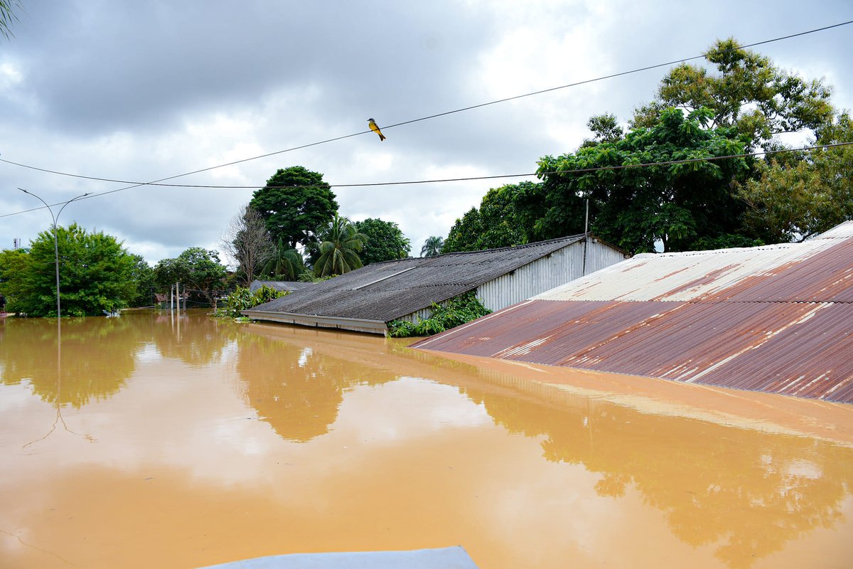 FloodList tweet media