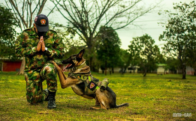 higuera_tamayo's tweet image. Nos Dormimos En Los Laureles ; Confiamos En Muestras #Gloriosas @FuerzasMilCol Y Ahí Perdimos El Año; 
@ChevroletCo Debería #Fabricar Helicópteros Y Garantizar Su Mantenimiento 
@petrogustavo  #Rompe Con Israel Y Rusia No Puede Atender Bobadas Por Estar Masacrando A #Ucrania