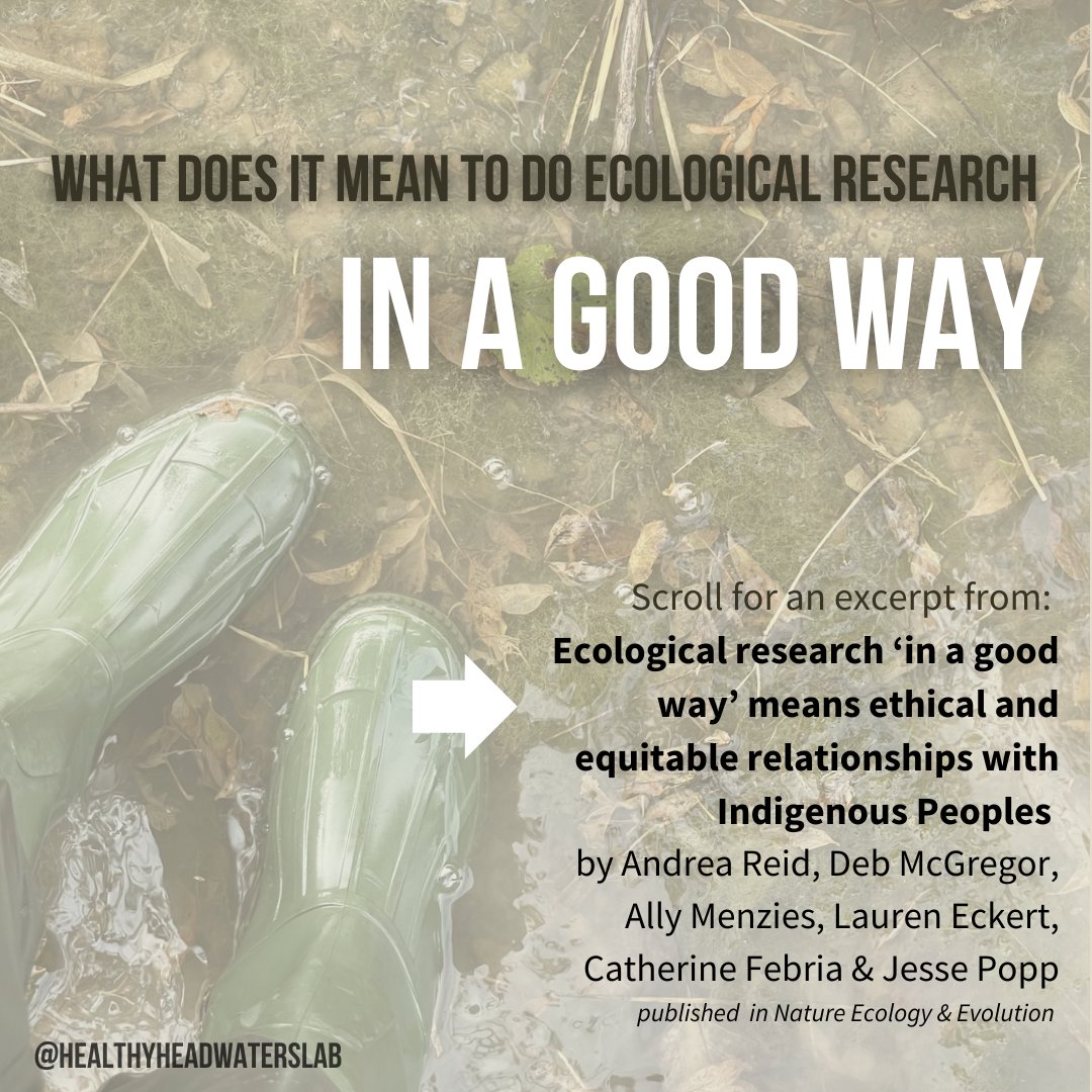 The Healthy Headwaters Lab tweet media