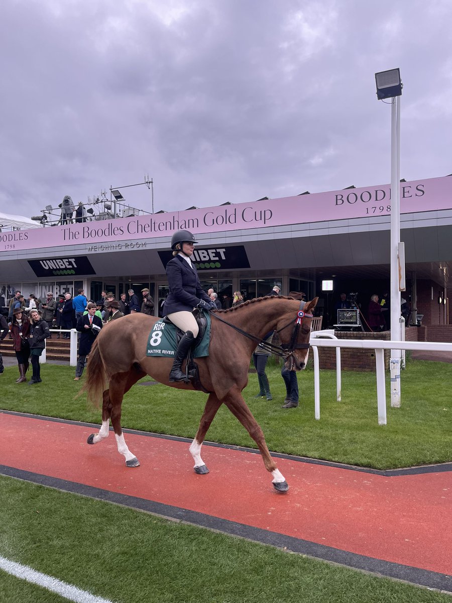 🗣️ “The brave, the generous!” Native River looks spectacular… You’d fancy him in Friday’s Gold Cup with current conditions 👀