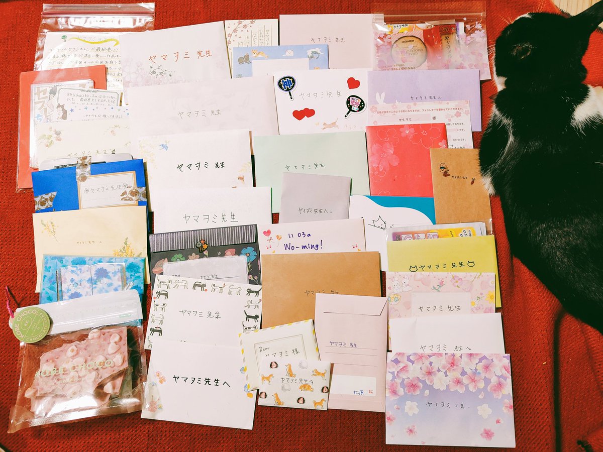 遅くなりましたがにJ庭ではお手紙や差し入れ、お声がけなどトモコーやひみセフ完結へのたくさんのお祝い、温かいお言葉をありがとうございました😭
皆さんあっての12年、全10巻だったなーとしみじみと感謝の一日でした。
