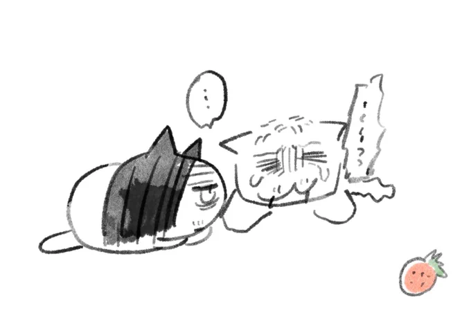 🐱😿🍓 